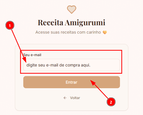 Print do campo de e-mail