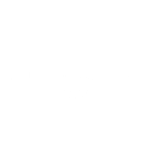 Descreva a imagem...