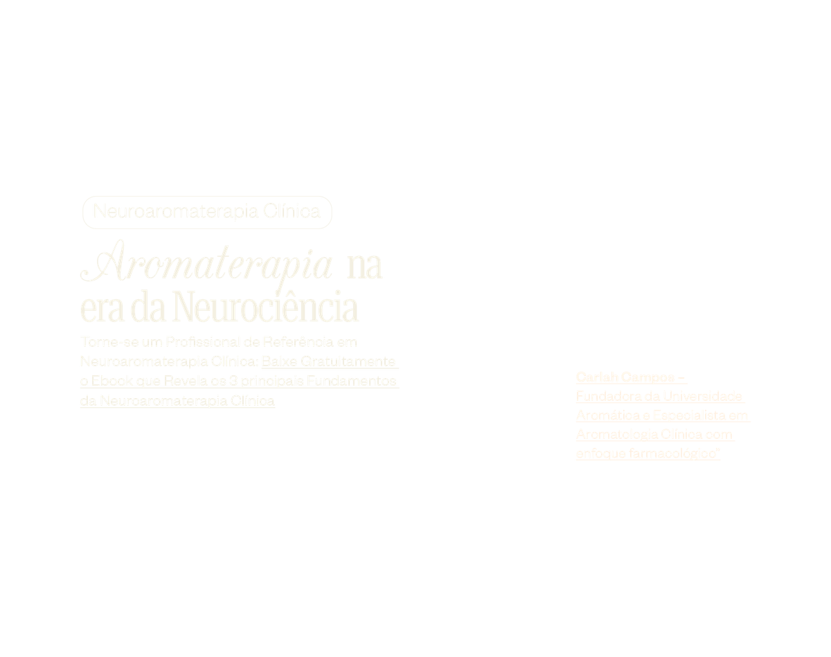 Descreva a imagem...