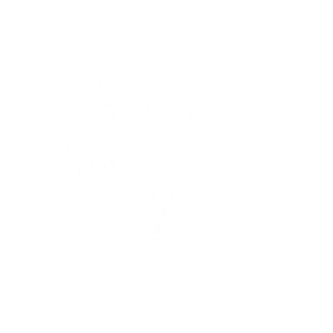 Descreva a imagem...