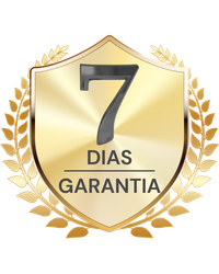Descreva a imagem...