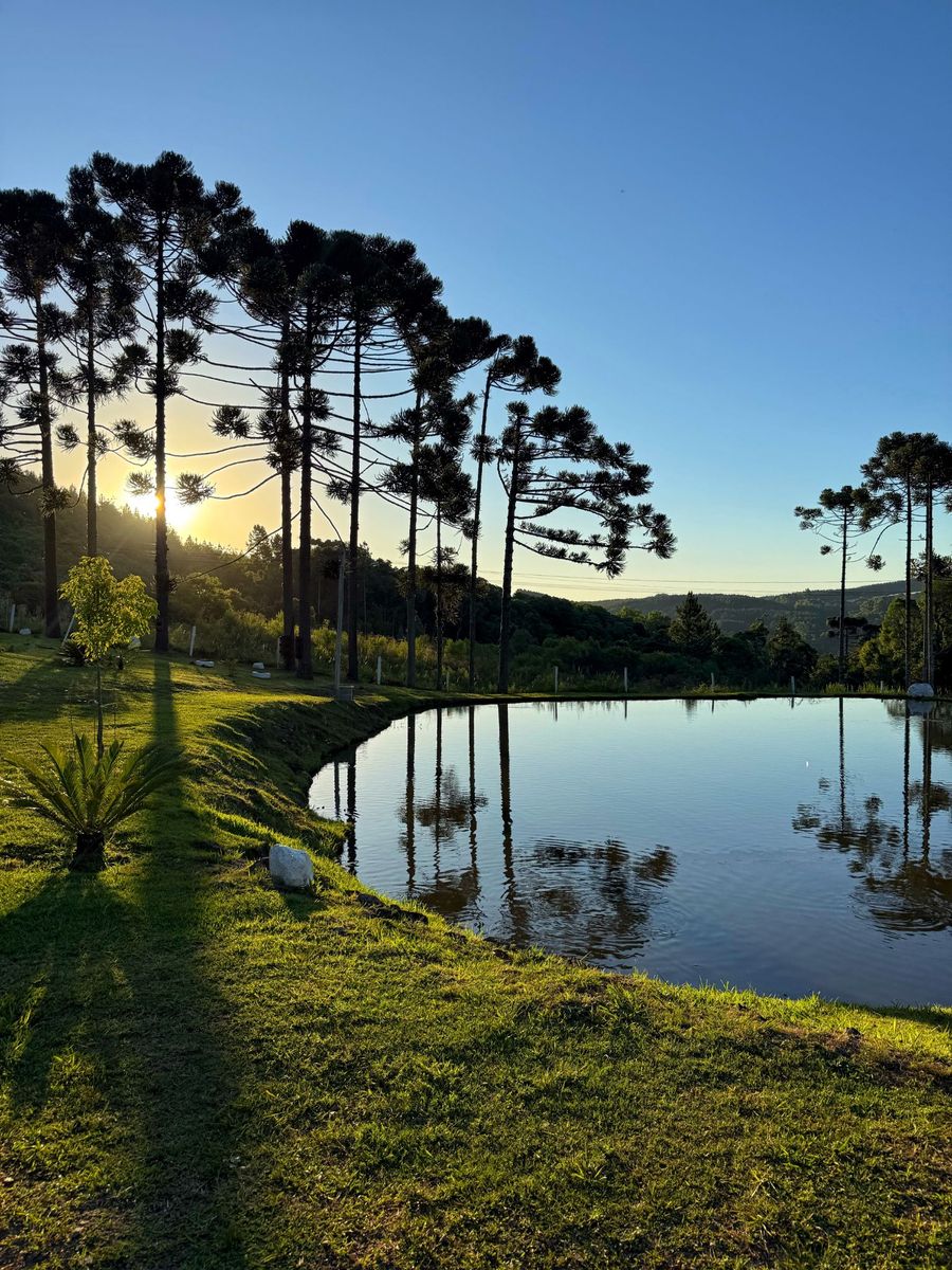 Vista acolhedora em meio à natureza com atmosfera de descanso e tranquilidade