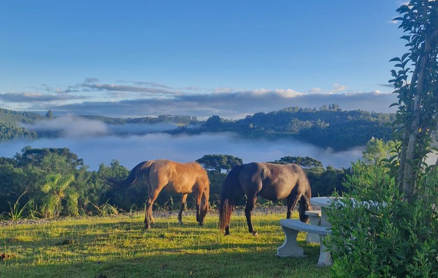Paisagem natural com vista ampla e atmosfera tranquila ao ar livre