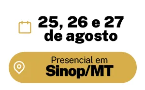 Descreva a imagem...