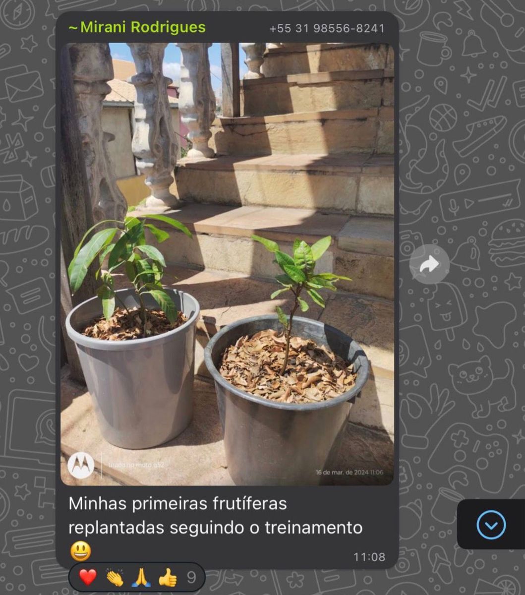 PROVA REAL 1 DE PRODUÇÃO URBANA