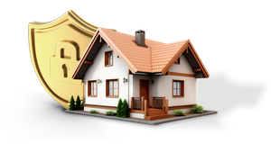 Descreva a imagem...