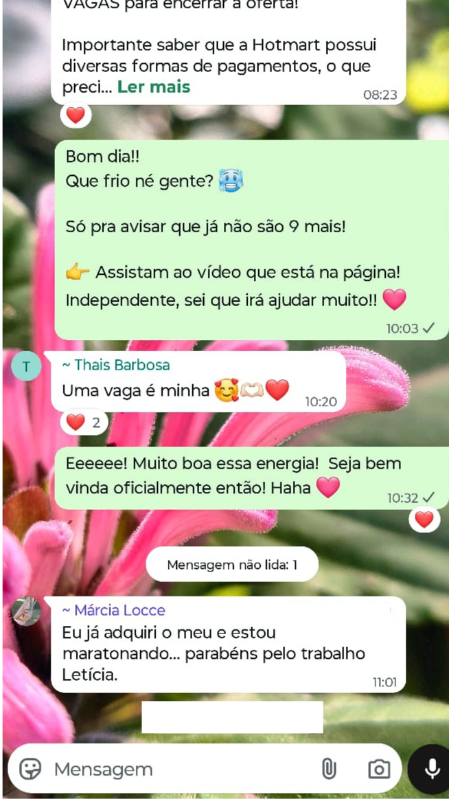 Descreva a imagem...