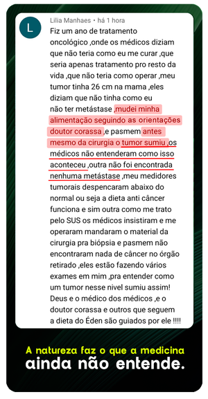 Descreva a imagem...