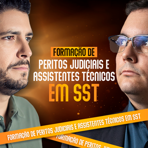 Descreva a imagem...