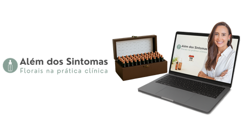 Descreva a imagem...