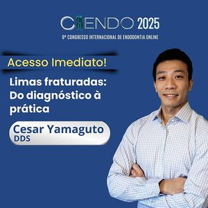 Descreva a imagem...