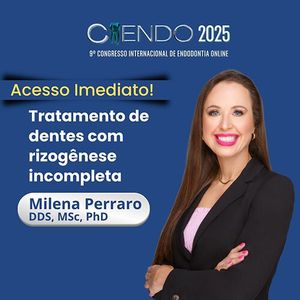 Descreva a imagem...