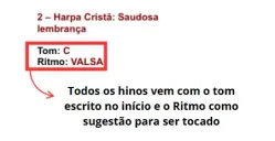 Descreva a imagem...