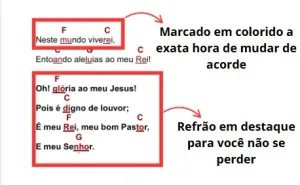 Descreva a imagem...