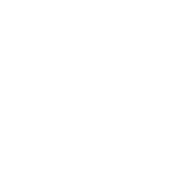 Descreva a imagem...