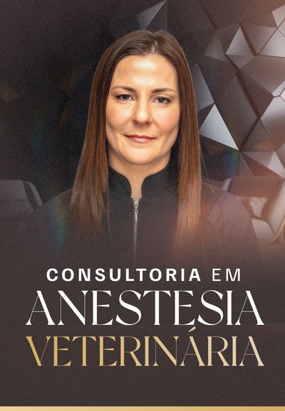 Descreva a imagem...