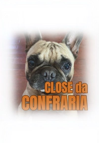 Descreva a imagem...