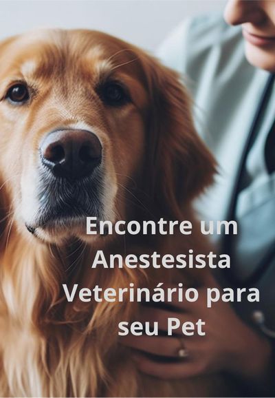 Descreva a imagem...