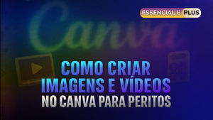 Descreva a imagem...