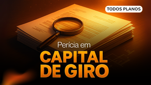 Descreva a imagem...