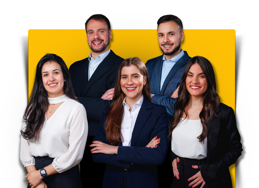 Descreva a imagem...