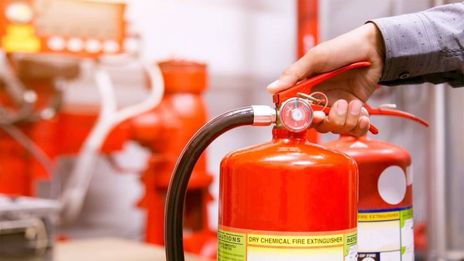 Descreva a imagem...