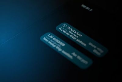 Descreva a imagem...