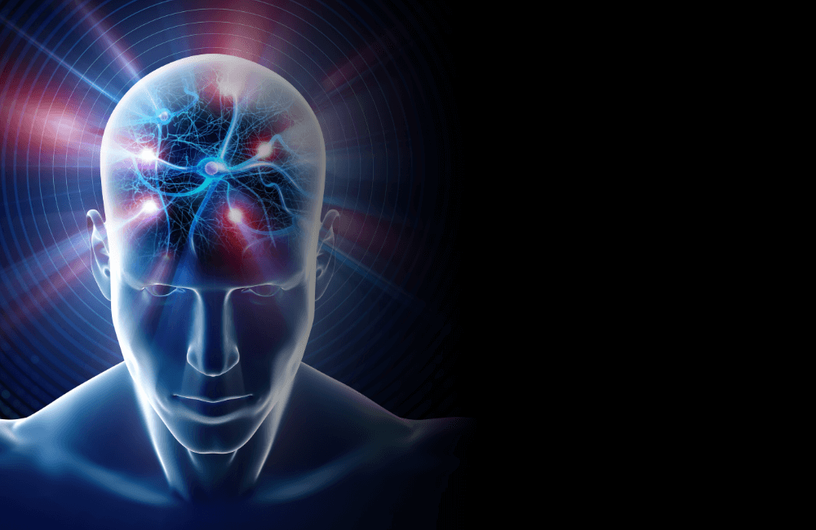 Descreva a imagem...