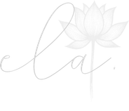 Descreva a imagem...