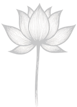 Descreva a imagem...