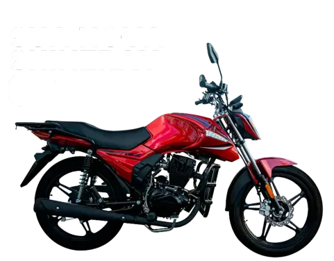 Descreva a imagem...