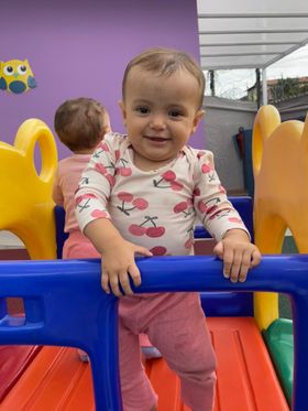 Descreva a imagem...