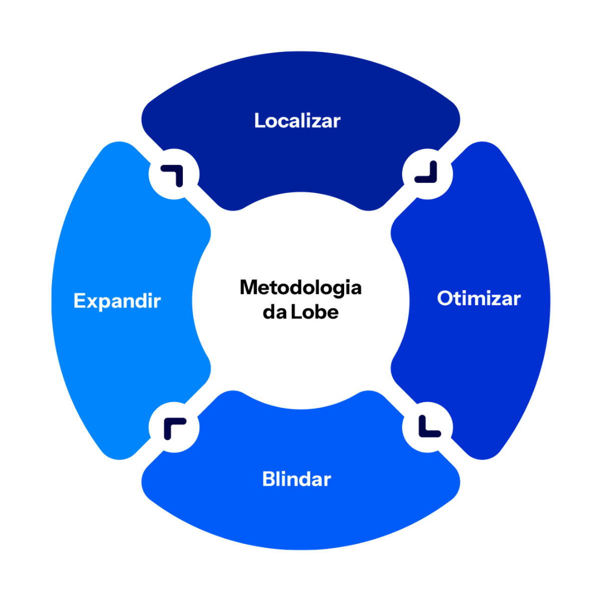 Descreva a imagem...