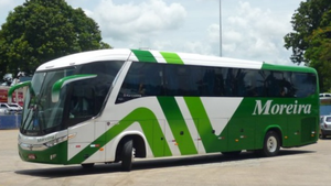 Descreva a imagem...