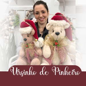 Descreva a imagem...