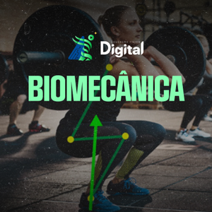 Descreva a imagem...